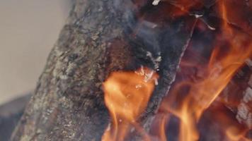 fuego de madera de roble en una barbacoa en ceniza y humo video