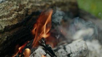 Oak wood fire in a Barbecue in ash and smoke video