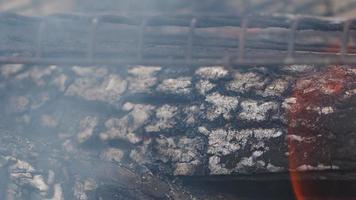 fuego de madera de roble en una barbacoa en ceniza y humo video