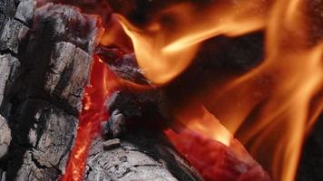 fuoco a legna di quercia in un barbecue in frassino e fumo video