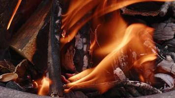 fuego de madera de roble en una barbacoa en ceniza y humo video
