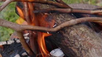 fogo de madeira de carvalho em um churrasco em cinzas e fumaça video