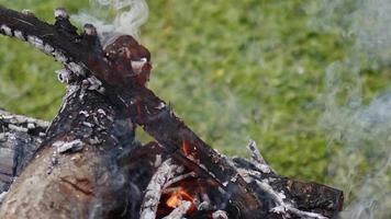 feu de bois de chêne dans un barbecue en cendre et fumée video