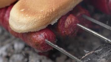 Kochen von Wurst auf einem Grillholzfeuer video