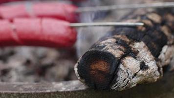 cozinhar comida de salsicha em um churrasco fogo de madeira video