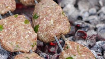 Cooking Cow Meatball Food on a Barbecue Wood Fire