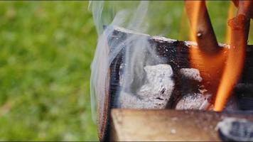 fuego de madera de roble en una barbacoa en ceniza y humo video