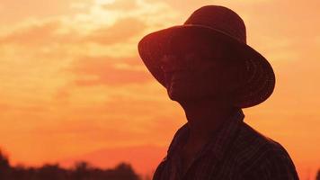 Silhouette of Senior farmer standing in rice field at sunset. An elderly man in a hat looking into the distance on a golden sky background. video