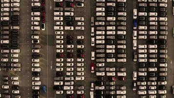 vista aérea de un lote de autos para importar y exportar autos nuevos en el puerto de patio de autos nuevos video