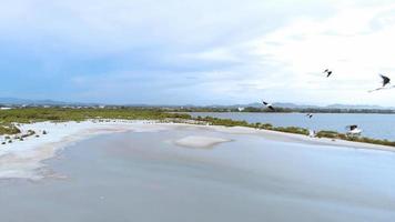 vista aérea de cima e bela praia do mar na vista superior no verão, paraíso insular de luxo para viagens de turismo nas férias de verão. video