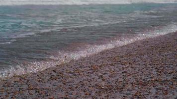 Close up sea waves in sunny day video