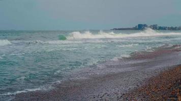 poderosas olas tormentosas con textura blanca espumosa en la costa del mar video