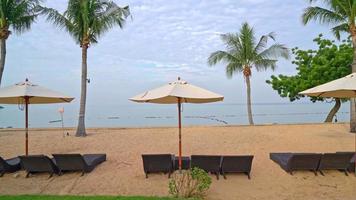 empty beach chair with palm tree on beach with sea background video