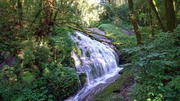 bela cachoeira lan sa ded na trilha natural de kew mae pan em doi inthanon, chiang mai, tailândia video