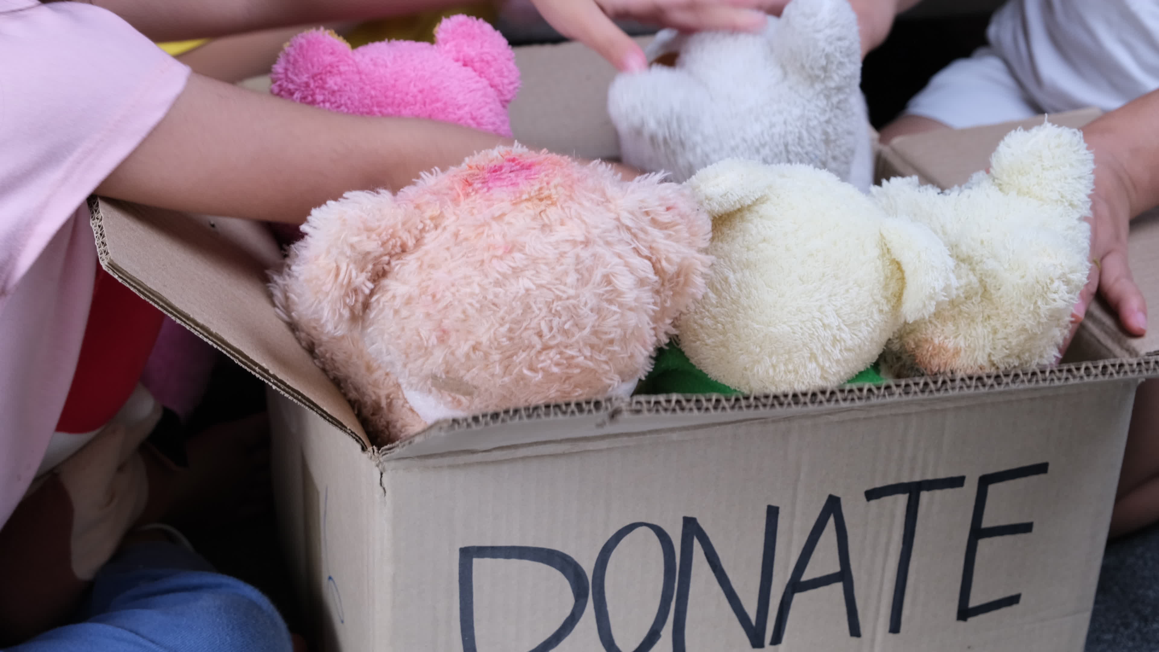 Plush Stock Video Footage for Free Download