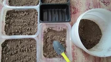 vasos com turfa. preparando a terra para plantar as sementes. video