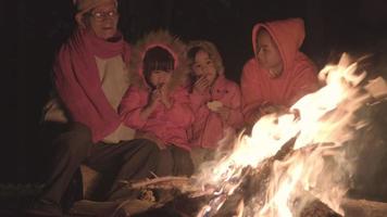 familj värmer nära lägerelden i skogen och ha ett samtal. nattcamping nära brasan i tallskog. turism och camping koncept. video