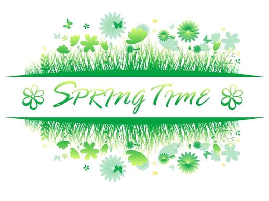 Green spring grass with flower and butterflies Isolated On White Background