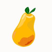 Ripe yellow pear on a white background. vector