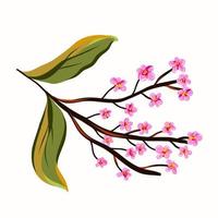 Spring branch of a flowering apple tree. vector