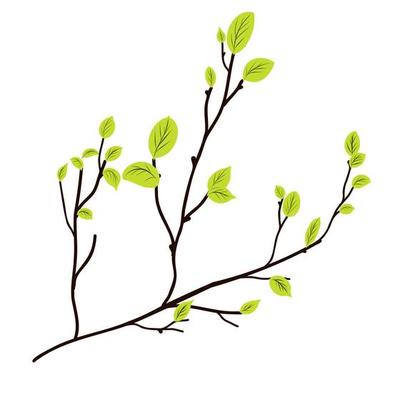 A twig with green leaves just blooming.