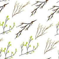 de patrones sin fisuras con ramitas de primavera y hojas. vector