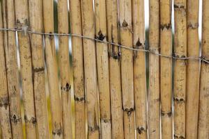 Reed screening texture, Natural Willow Garden Fence, Bamboo texture background. photo