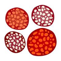 salami, conjunto de rodajas de pepperoni. ilustración vectorial un concepto para pegatinas, afiches, postales, sitios web y aplicaciones móviles. vector