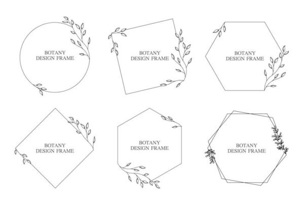 Set geometric flower wreath with leaves and branches. Botany round frame isolated on white background. For wedding invitations, postcards, posters, labels of cosmetics and perfumes.