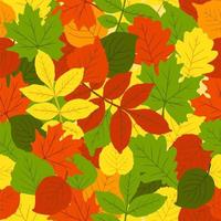 The pattern is fashionable on an autumn theme. The leaves are oak, birch, aspen, maple. Space for copying. Applicable for printing, posters, postcards, websites. Vector illustration.