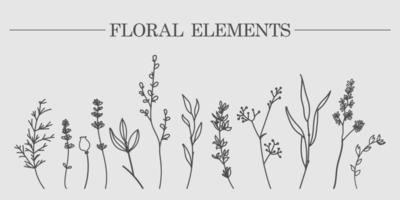 Hand-drawn sketch of vector plant elements of laurels, leaves, flowers, branches. Suitable for invitations, greeting cards, quotes, blogs, wedding frames, posters. Vector illustration