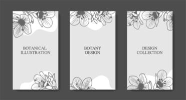 Set banner postcards plant-style  stickers with leaves and branches in black and white. For wedding invitations, postcards, posters, labels of cosmetics vector