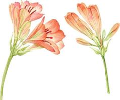 Set of branches with orange watercolor flowers. vector