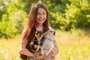 Teenage girl with two dogs of black and white. Two chihuahuas and a teenager. photo