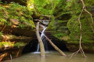 Spring Green in a hidden canyon photo