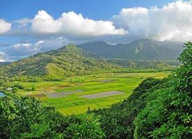 Verdant Valley in the Tropics photo