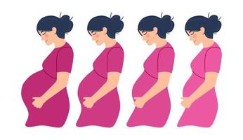 Pregnancy. A modern poster with the stages of pregnancy. vector