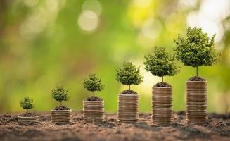 Coin stack with young green sprout on top. Business success, Financial or money growing concept photo