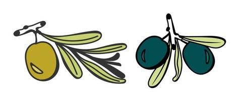 Olives on a branch are hand-drawn in the style of a doodle. For use on textiles, packaging paper, souvenirs, printing, posters, postcards. vector