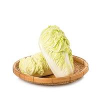 Fresh white Chinese cabbage. Studio shot isolated on white background photo