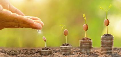 Hand giving water to small tree on top of coin stack. Business success, Financial or money growing concept photo
