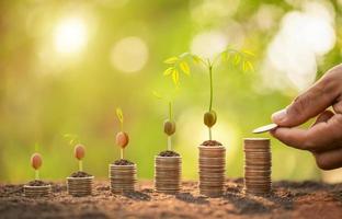 Hand putting coins in stack and young tree sprout on green blur background. Money growing, Finance or Savings concept