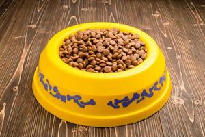 Dog food in yellow plastic bowl on wooden plank photo