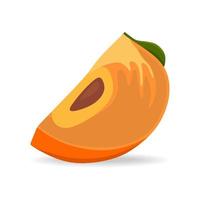 Persimmon, vector illustration isolated on a white background. A concept for stickers, posters, postcards, websites