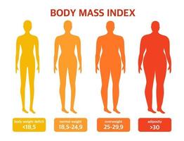 Different types of shapes. Body mass index. The concept of body positivity and diet. vector