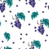 Fruit seamless pattern. Grape. Delicious sweet food. Perfect for printing, menus and restaurants, textiles, wrapping paper.  Hand drawn vector illustration