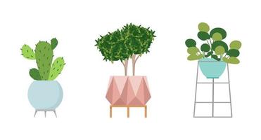 A set of stylish fashionable indoor plants for the house. Isolated on a white background. Dracaena, monstera, boxwood, spatifilum, ficus benjamin, pineapple, zamiokulkas. Color flat vector