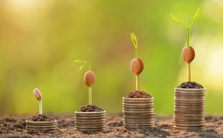 Coin stack with young green sprout on top. Business success, Financial or money growing concept photo