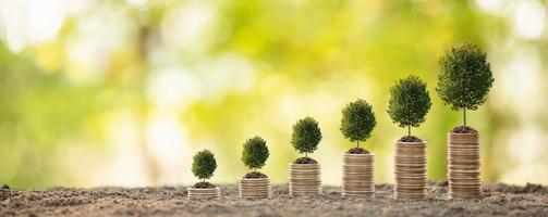 Coin stack on blur background. Business success or money growing concept photo