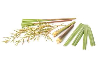 Flower and leaf of red Lemongrass or citronella grass. Studio shot isolated on white photo